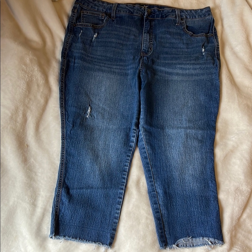Terra & Sky Distressed Blue Ankle Jeans